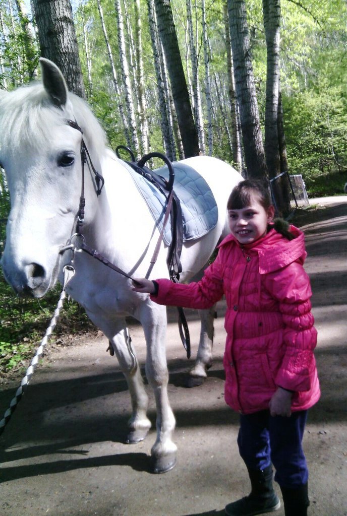 девочка с лошадью