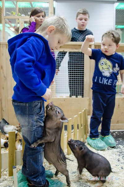дети в контактном зоопарке